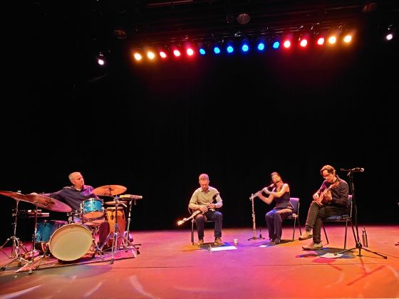Photo showing the IMO Chamber Group perform at the Mermaid Arts Centre